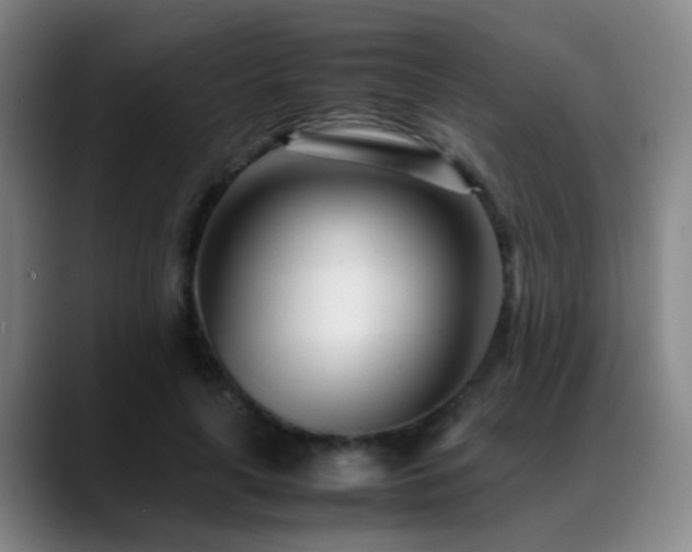 X0000089430643200706151309