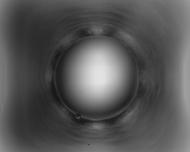 X0000089430645200706151309