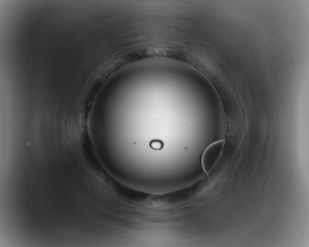 X0000089430648200706151309