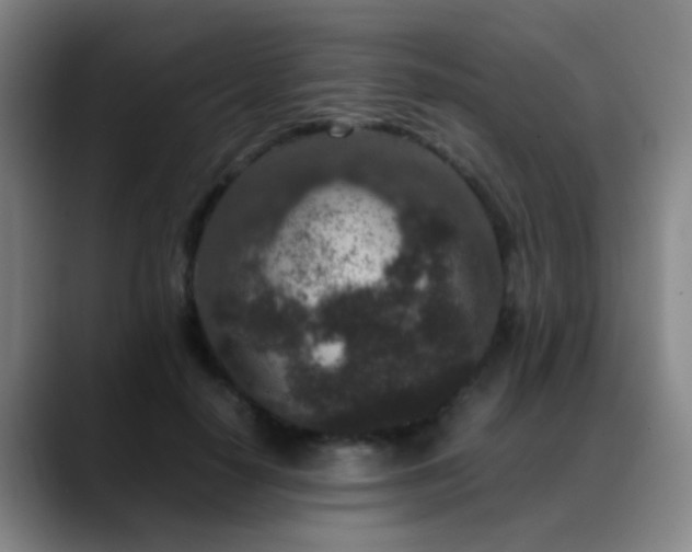 X0000089430650200706151309