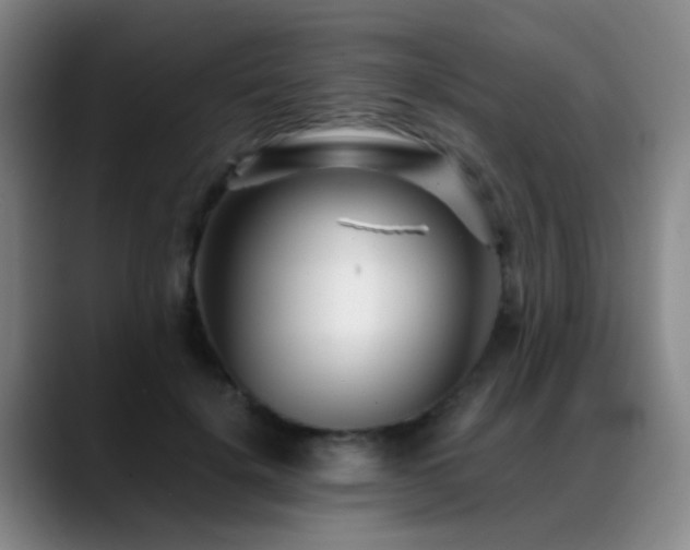X0000089430652200706151309