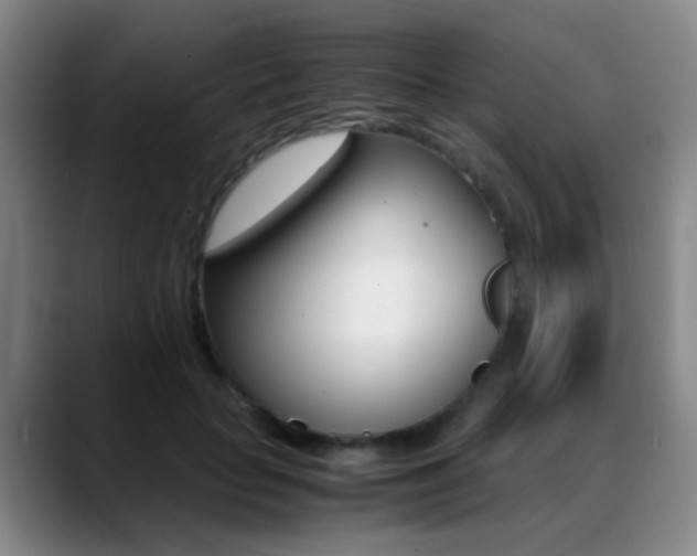 X0000089430653200706151310