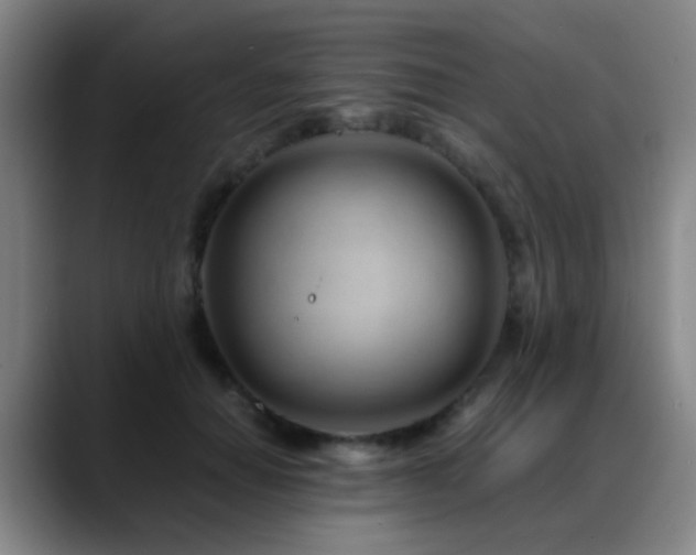 X0000089430654200706151310