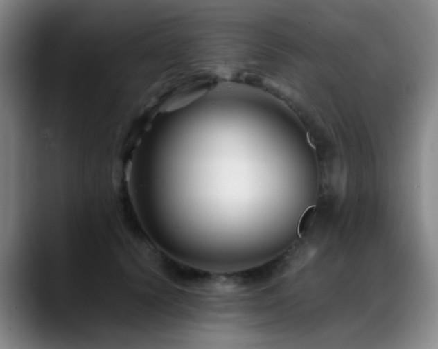 X0000089430656200706151310