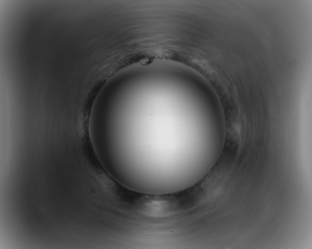 X0000089430658200706151310
