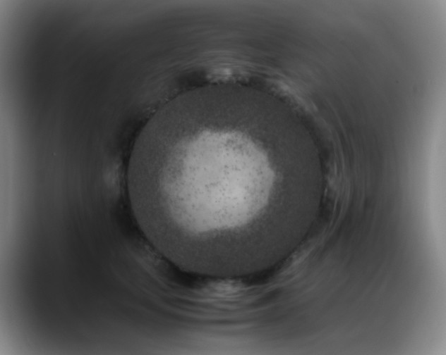 X0000089430659200706151310