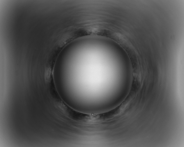 X0000089430660200706151310