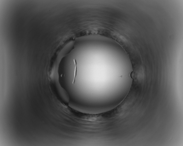 X0000089430661200706151310