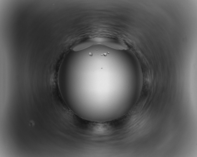 X0000089430663200706151310