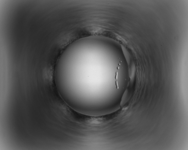 X0000089430664200706151310