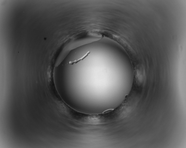 X0000089430668200706151310