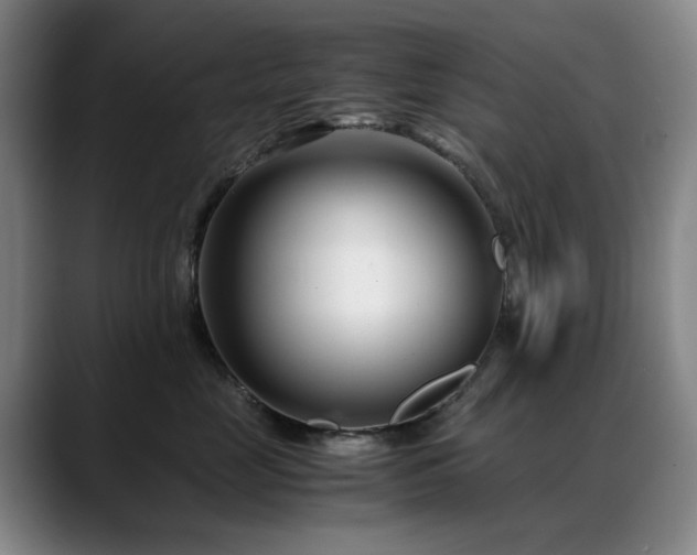 X0000089430669200706151310