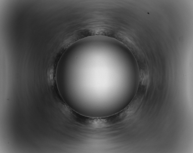 X0000089430670200706151310