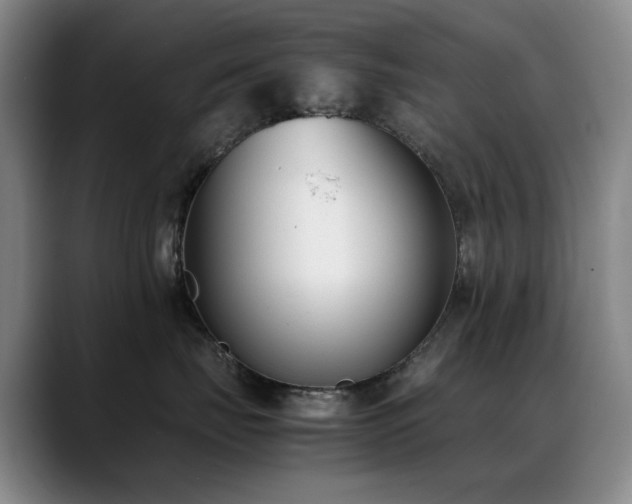 X0000089430671200706151310