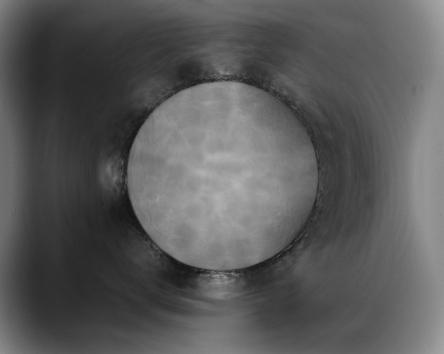 X0000089430672200706151310