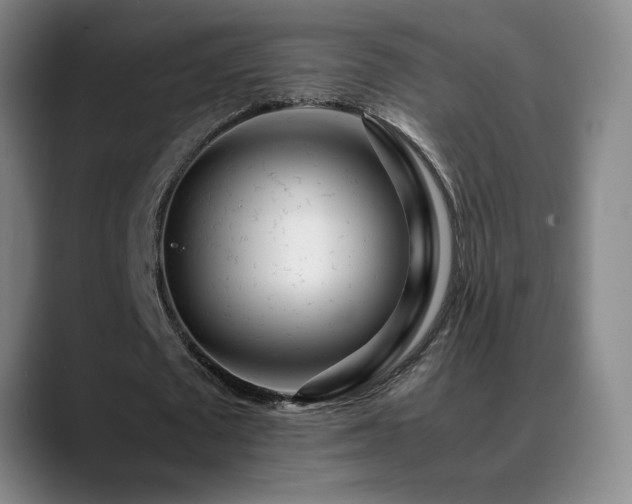 X0000089430673200706151309