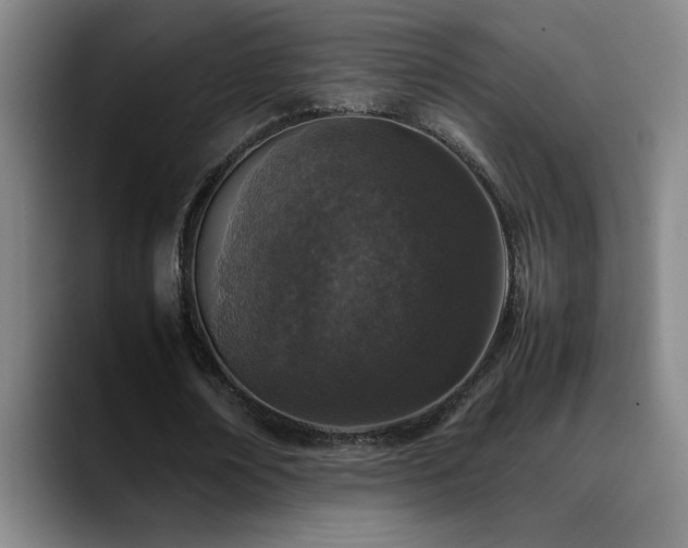 X0000089430674200706151309