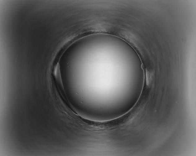 X0000089430675200706151309