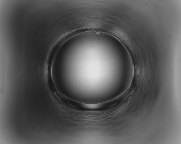 X0000089430676200706151309