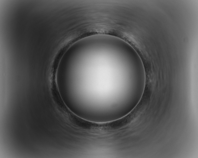 X0000089430679200706151309