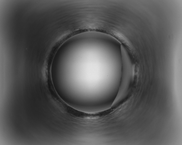 X0000089430680200706151309