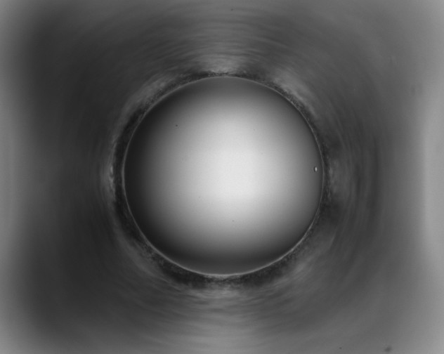 X0000089430682200706151309