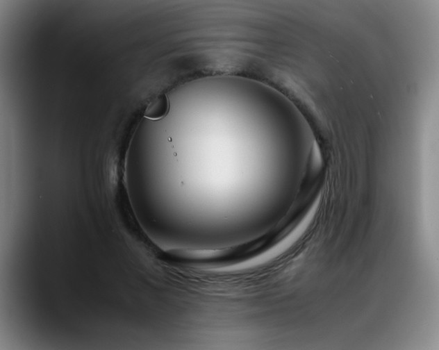 X0000089430685200706151309