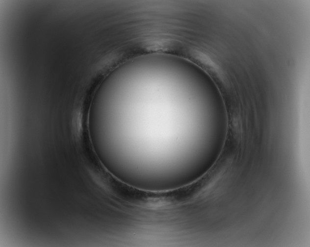 X0000089430686200706151309