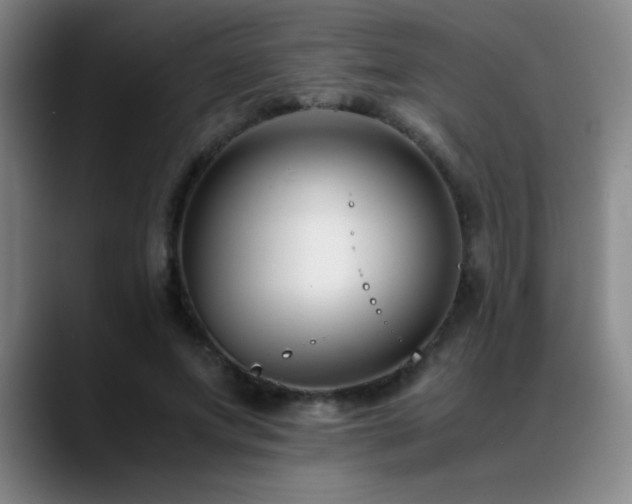 X0000089430687200706151309