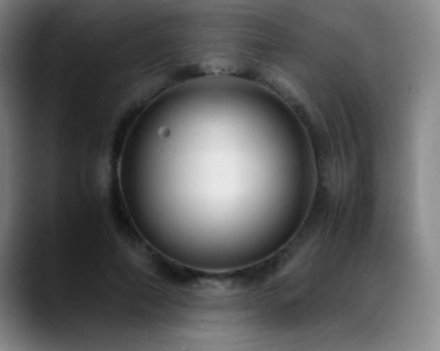 X0000089430690200706151309