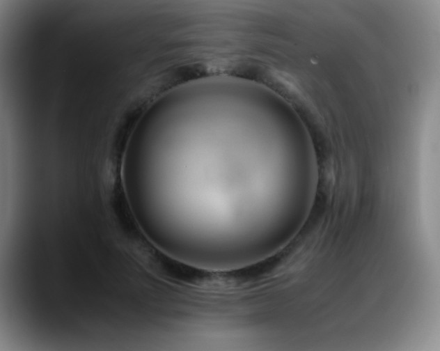 X0000089430691200706151309