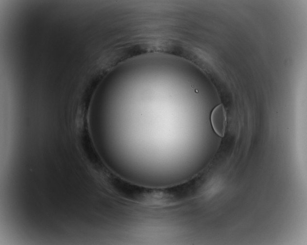X0000089430695200706151309