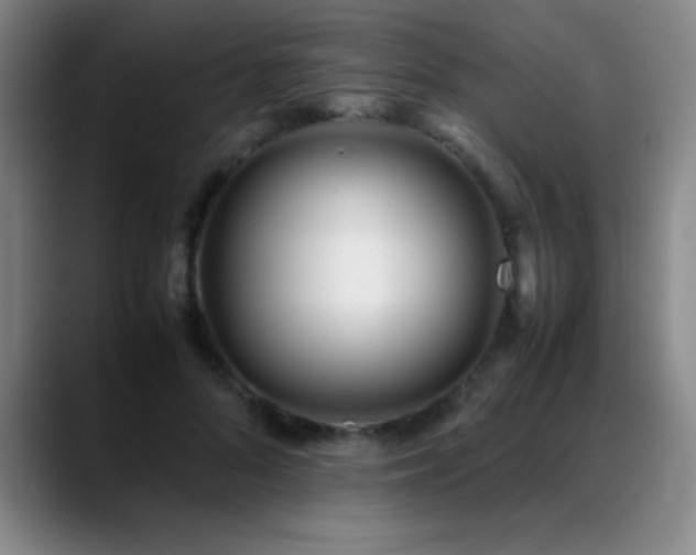 X0000089430696200706151309