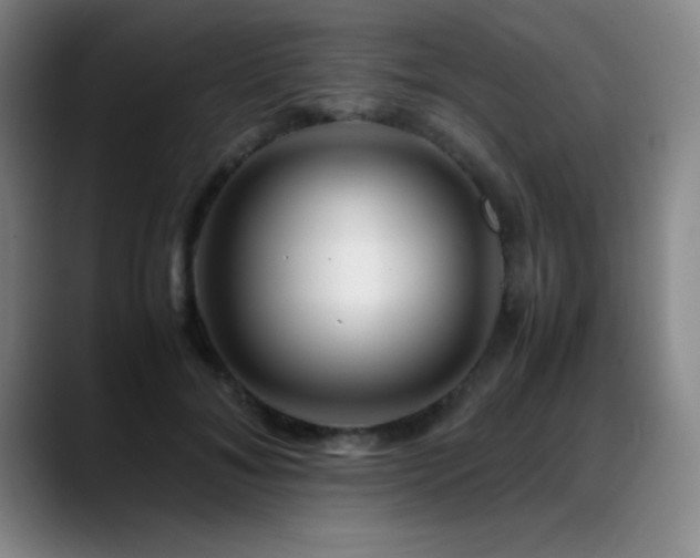 X0000089430700200706151309