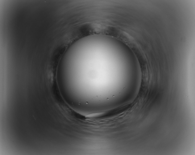 X0000089430703200706151309