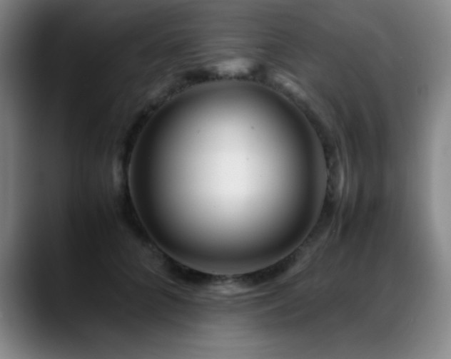 X0000089430704200706151309