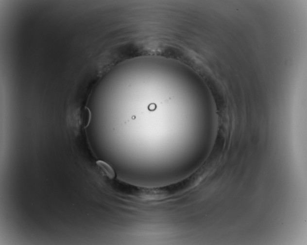 X0000089430707200706151309