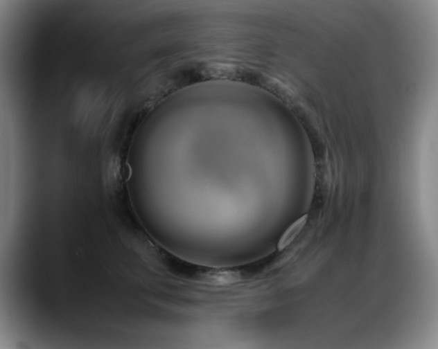 X0000089430711200706151309