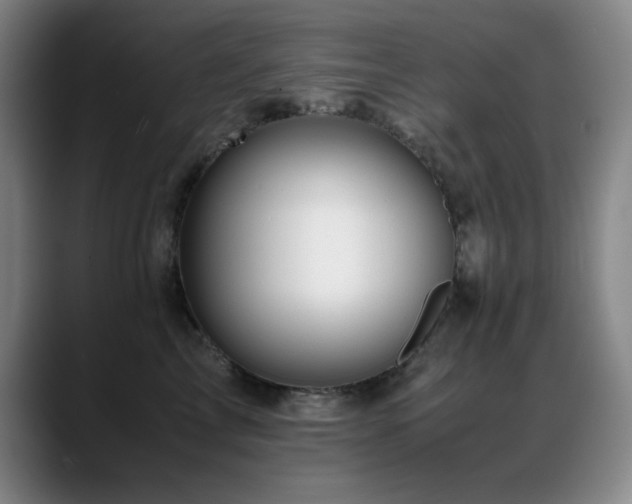 X0000089430713200706151309