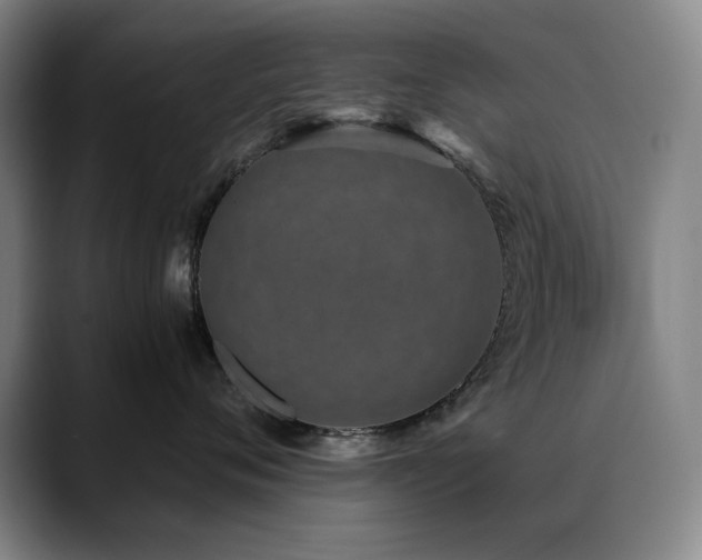 X0000089430720200706151309