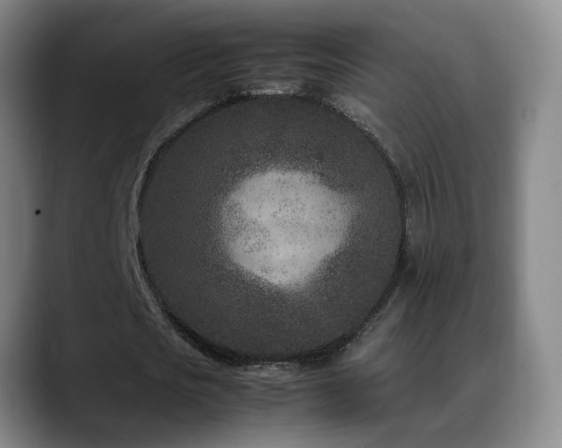 X0000089430721200706151308