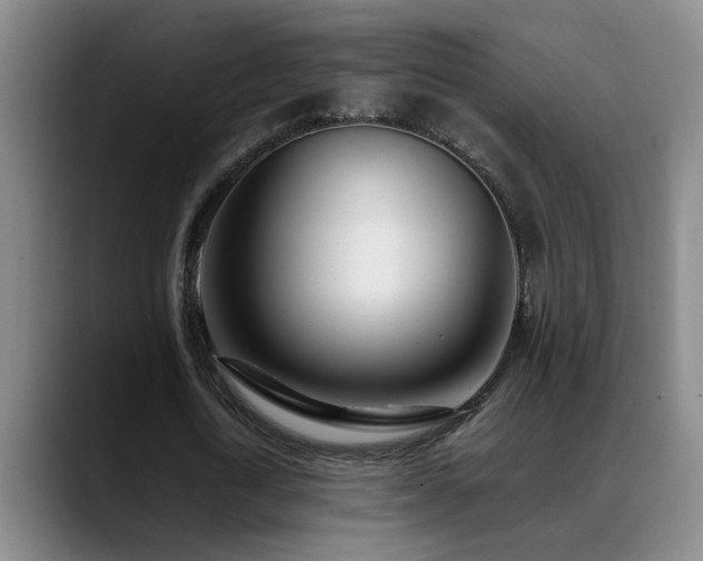 X0000089430722200706151308