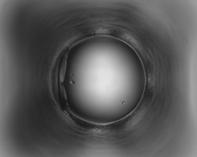 X0000089430725200706151308
