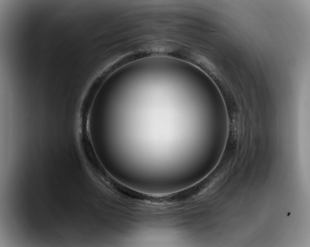 X0000089430726200706151308