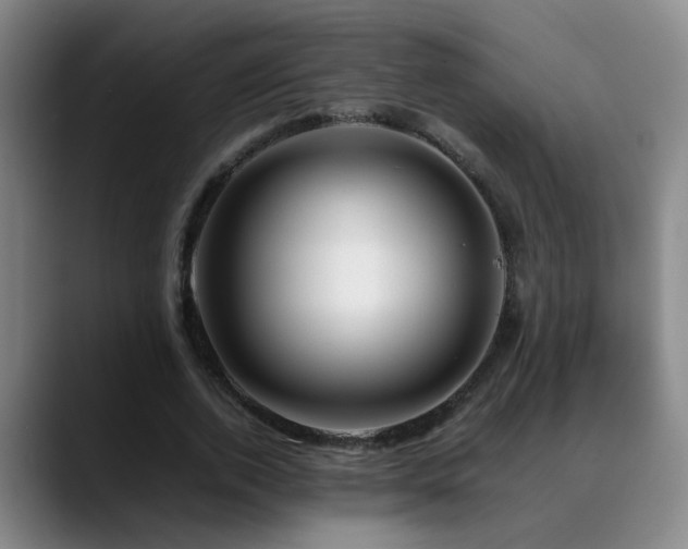 X0000089430728200706151308