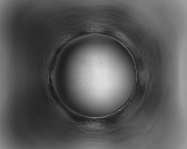 X0000089430729200706151308
