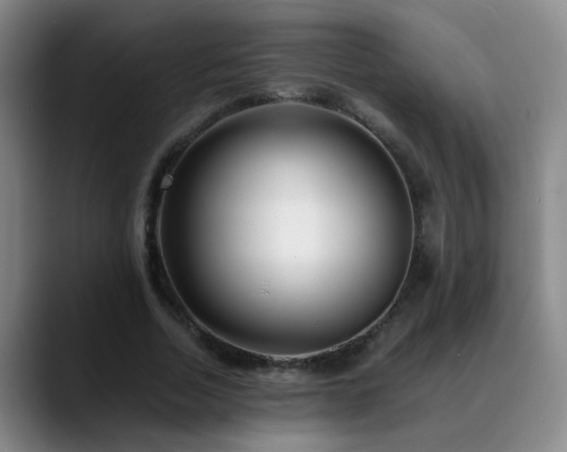 X0000089430730200706151308