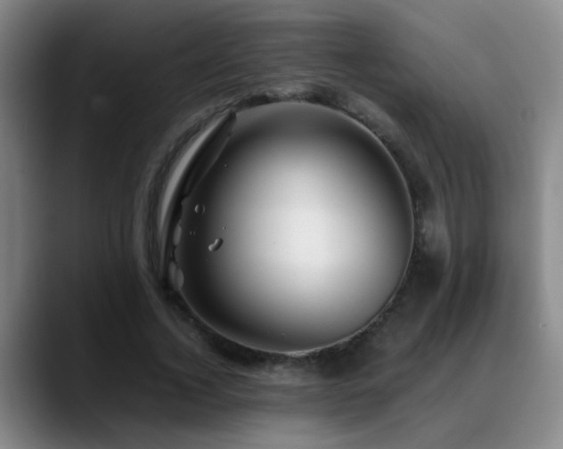 X0000089430732200706151308