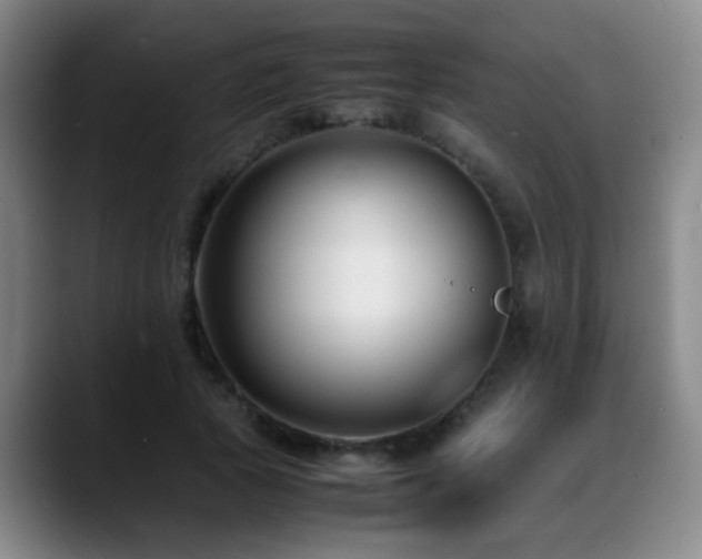 X0000089430737200706151308