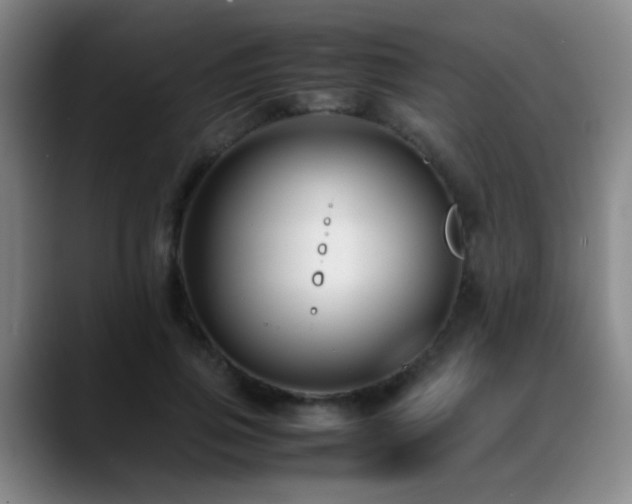 X0000089430741200706151308